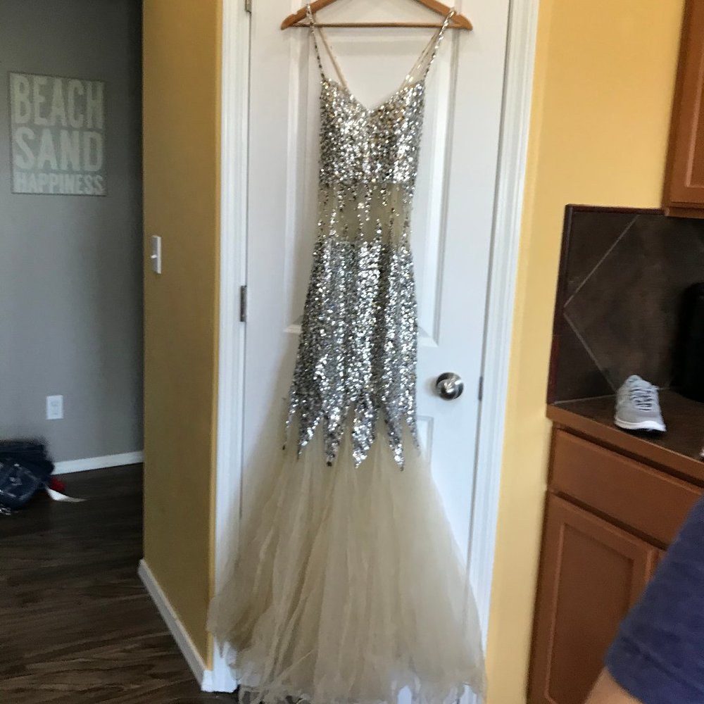Stunning Nude+Silver Sequined Gown!